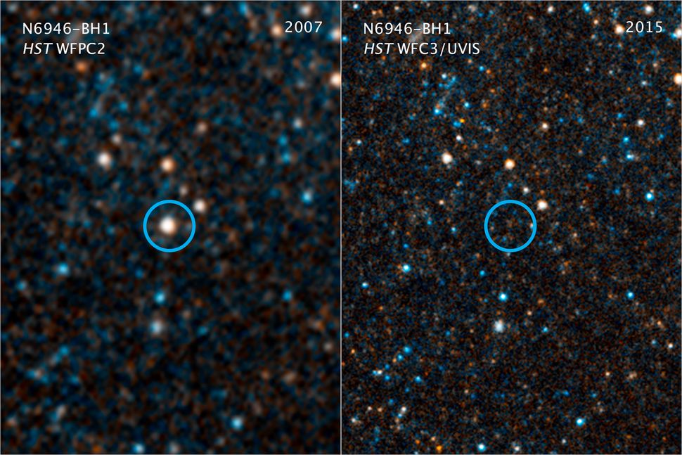 This pair of visible-light and near-infrared Hubble Space Telescope photos shows the giant star N6946-BH1 before and after it vanished out of sight by imploding to form a black hole. The left image shows the 25 solar mass star as it looked in 2007. In 2009, the star shot up in brightness to become over 1 million times more luminous than our sun for several months. But then it seemed to vanish, as seen in the right panel image from 2015. A small amount of infrared light has been detected from where the star used to be. This radiation probably comes from debris falling onto a black hole. The black hole is located 22 million light-years away in the spiral galaxy NGC 6946.